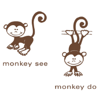 monkey see, monkey do